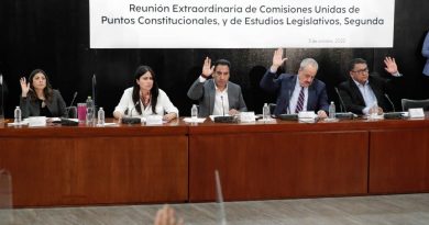 AVALAN COMISIONES DEL SENADO AMPLIAR HASTA 2028 PRESENCIA DE MILITARES EN TAREAS DE SEGURIDAD