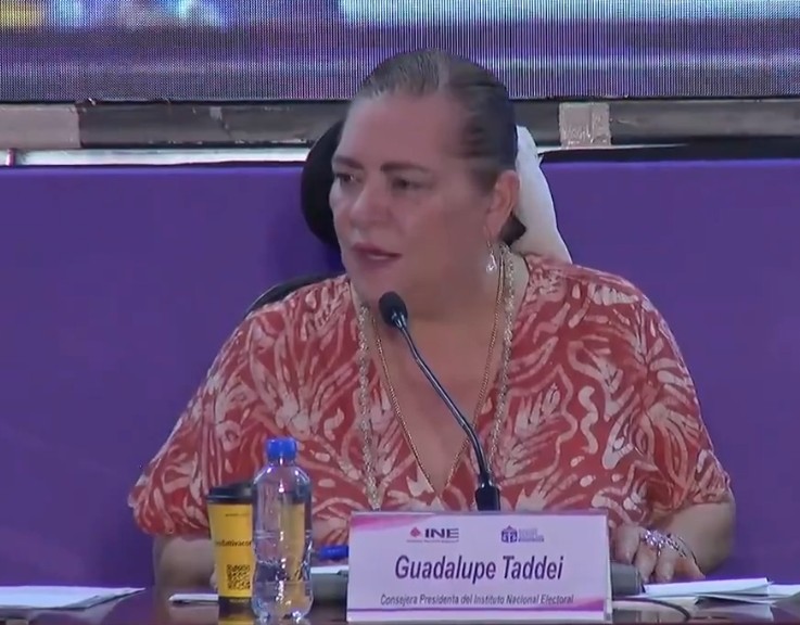 🗳#Elección| INDUCIR O INHIBIR EL VOTO ESTE DOMINGO ES DELITO: GUADALUPE TADDEI