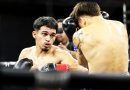 🥊 ¡Noche de Campeonatos Fecombox en Aguascalientes! 🥊