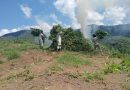🚨 GUARDIA NACIONAL DESTRUYE MÁS DE 14 MIL METROS DE PLANTÍOS DE MARIHUANA EN JALISCO