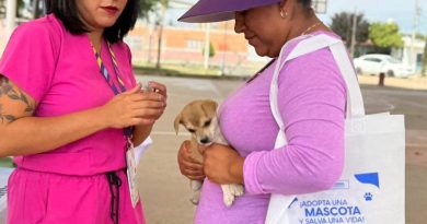 🐶🐱💚 ¡En Asientos se cuida a tus mascotas!