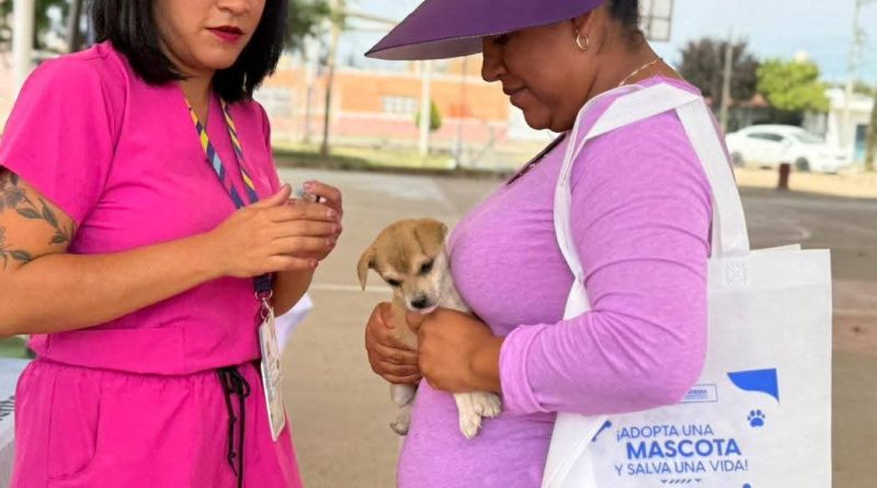 🐶🐱💚 ¡En Asientos se cuida a tus mascotas!