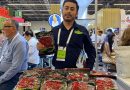 📢✨ EXPO ANTAD 2026: oportunidad clave para expandir negocios de Aguascalientes
